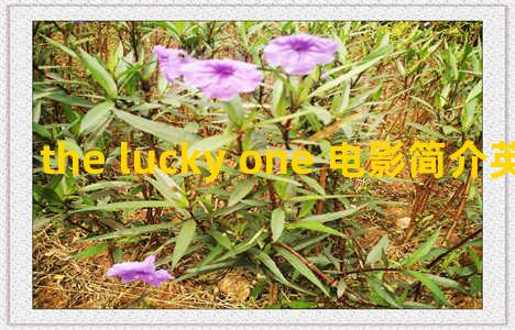 the lucky one 电影简介英文，the incredible 电影英文介绍
